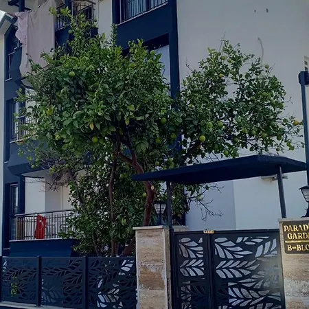 Beyazit 2 * סייד